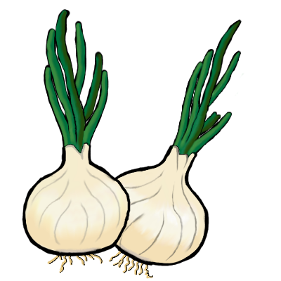 Buy Garlic